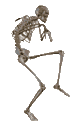 :skeleton: