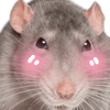 Grey Rhebok