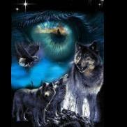 SpiritWolf24