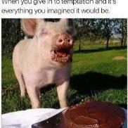 Pig_Tusk